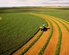 Купить землю в Украине станет проще: у Зеленского объяснили, как получить заветный клочок чернозема