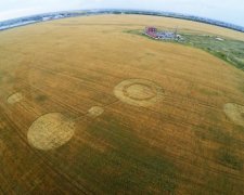 На поле под Тольятти появились рисунки инопланетян