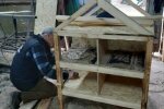 Тернополяне создали райский дом для котов, мурчики в восторге