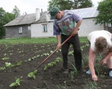 Половина росіян виживають за рахунок власних городів