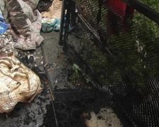 Шестирічний хлопчик згорів заживо у зачиненому домі