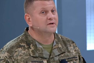 Валерий Залужный, фото: скриншот из видео