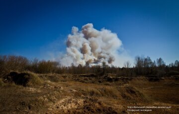 Чорнобильський заповідник, фото: facebook.com/zapovidnyk2018