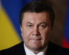 Нове Межигір'я Януковича: журналісти пролили світло