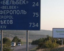 В России нашлось нечто среднее между Яценюком и Трампом