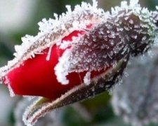 В мае украинцев ждут заморозки, дожди и грозы