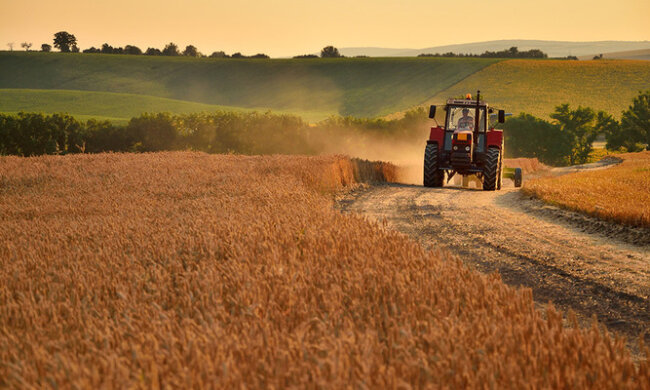 Рынок земли в Украине, Agropolit