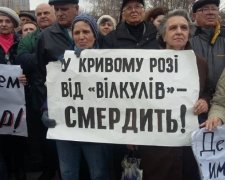 Перемога "регіоналів" в Кривому Розі - репетиція реваншу на виборах - Бригинець