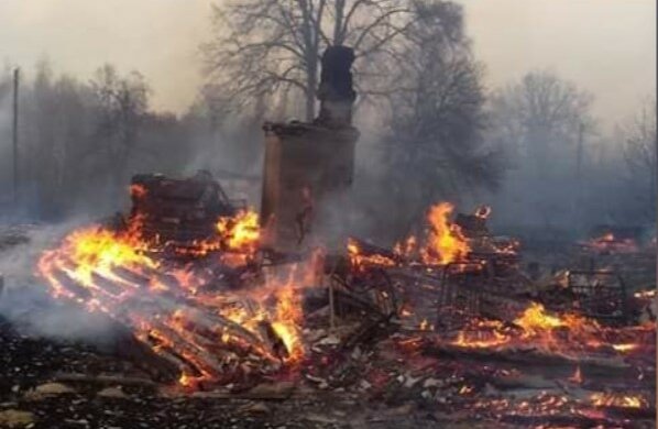 Пожежі в Житомирській області, фото: Соцмережі