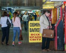 Курс валют 6 апреля: под весенним солнышком резко выросла гривна