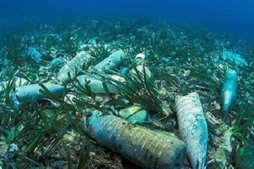 Дно океану перетворилося на помийну яму