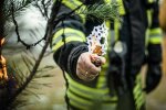 Пожежна безпека на Новий Рік