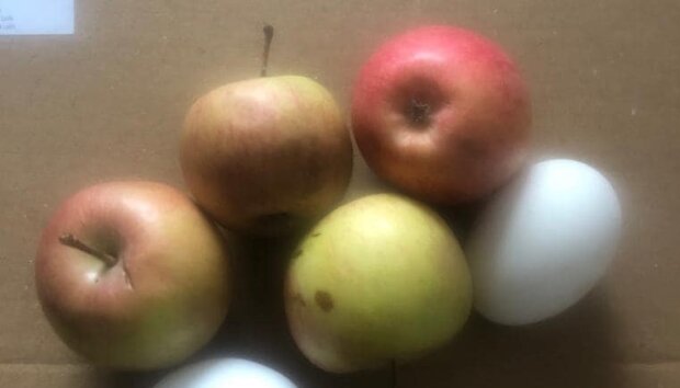 Скандал с яблоками, фото: Facebook
