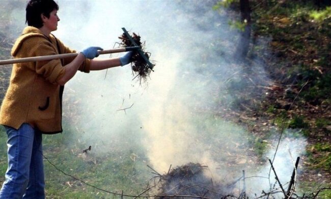 Украинцам открыли глаза на непоправимый вред сожженных листьев: в Минздраве показали, что происходит с воздухом