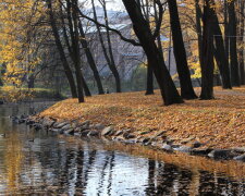 До Києва прийшов "несолодкий листопад": яку погоду обіцяють синоптики