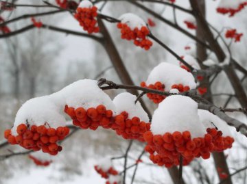 Сьогодні народне свято Антон Перезимник 30 січня: повір'я і прикмети