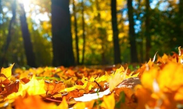 Франківці, теплий вікенд продовжується: 20 жовтня сонце вшкварить на повну