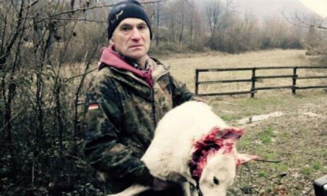 Депутата судитимуть за вбивство собаки 