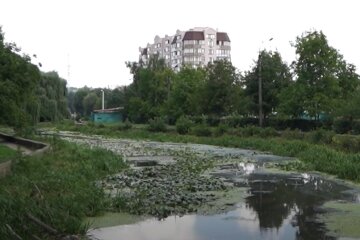 Прогноз погоди, скріншот з відео