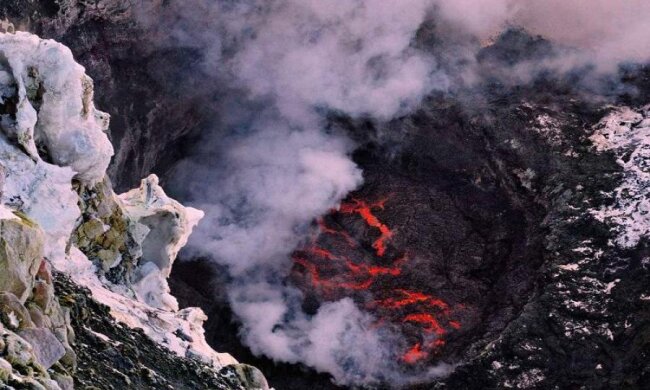 Знахідка в Антарктиді шокувала вчених