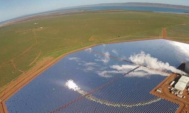 Японці зароблятимуть на грибах і сонячній енергії