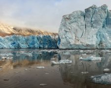 Перші жертви глобального потепління: знищено цілий вид тварин