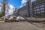 У Харкові дерево розчавило припаркований легковик, кадри дорожнього хоррору