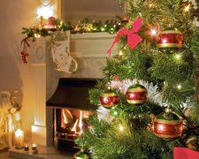 Медики б'ють на сполох: новорічні ялинки приховують смертельну небезпеку