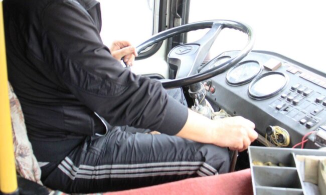 Водитель маршрутки, скриншот: YouTube