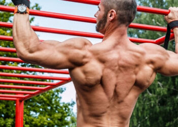 Калистеника: упражнения, мышцы, подтягивание, vice.bizsportser