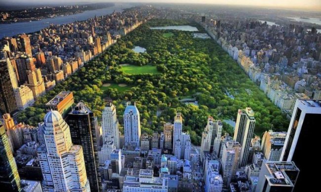 Де дихається легко: супутник показав самі зелені міста світу