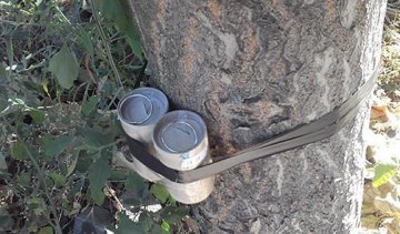 Біля будинку в Одесі виявили розтяжку (фото)