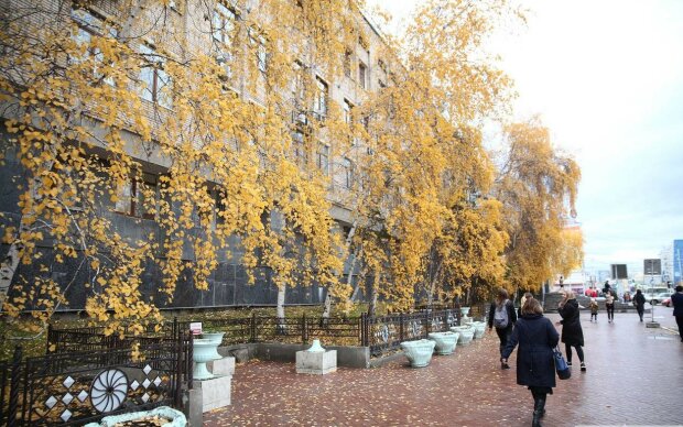 Вінниця, зустрічай справжню осінь: що розповіли синоптики про погоду 28 вересня