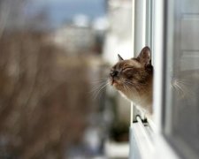 Погода "порадует" украинцев заморозками