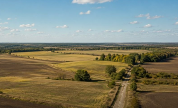 Земельна ділянка, поле, оренда землі