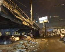 Олень Рудольф пытался "починить" Шулявский мост подорожником