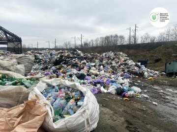 незаконне сміттєзвалище