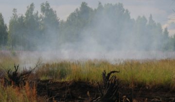 Сто гектарів торфовищ палає у Волинській області