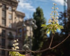 Погода на 8 мая: синоптик успокоила новым прогнозом