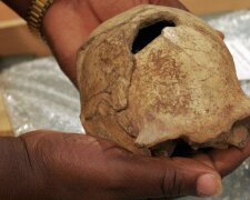 Homo erectus, фото: Getty Images