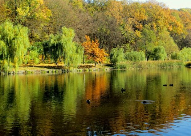 Топ-5 парков Киева, которые заставят поверить в рай на земле - тут точно каждая скажет "да" на любое предложение