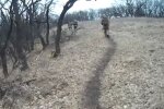 Донбасс скриншот: YouTube