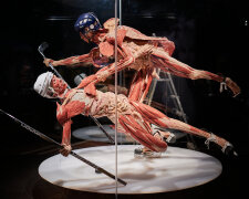 До Києва привезли людські тіла без шкіри: Body Worlds шокує та захоплює, фоторепортаж