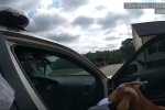 Коза поліцейські авто, скріншот