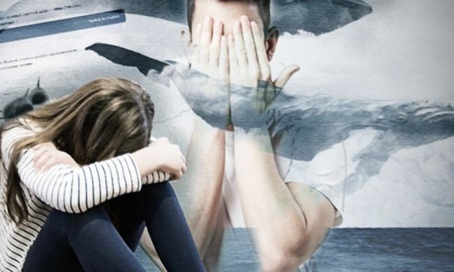 Украинцев предупредили о массовом нашествии "синих китов"