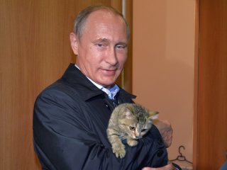 Путин с котенком, который пытается от него убежать