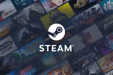 Steam