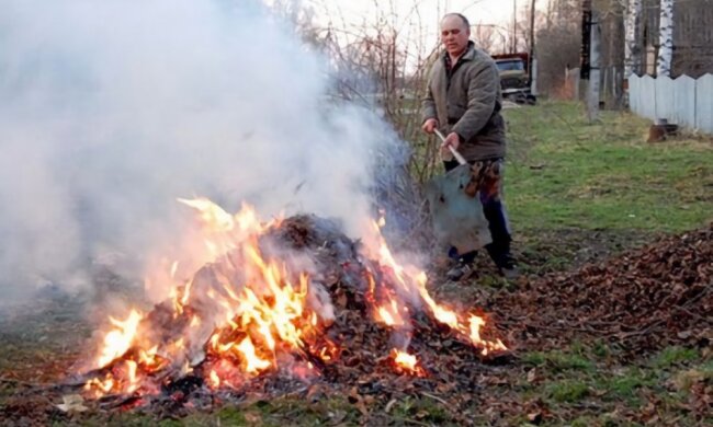 палять листя