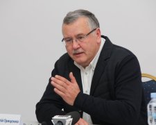 Гриценко надіслав Зеленському потужний сигнал у День Конституції: це робить кожна влада