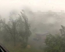 Руйнівний шторм під Луцьком: з'явилися вражаючі кадри